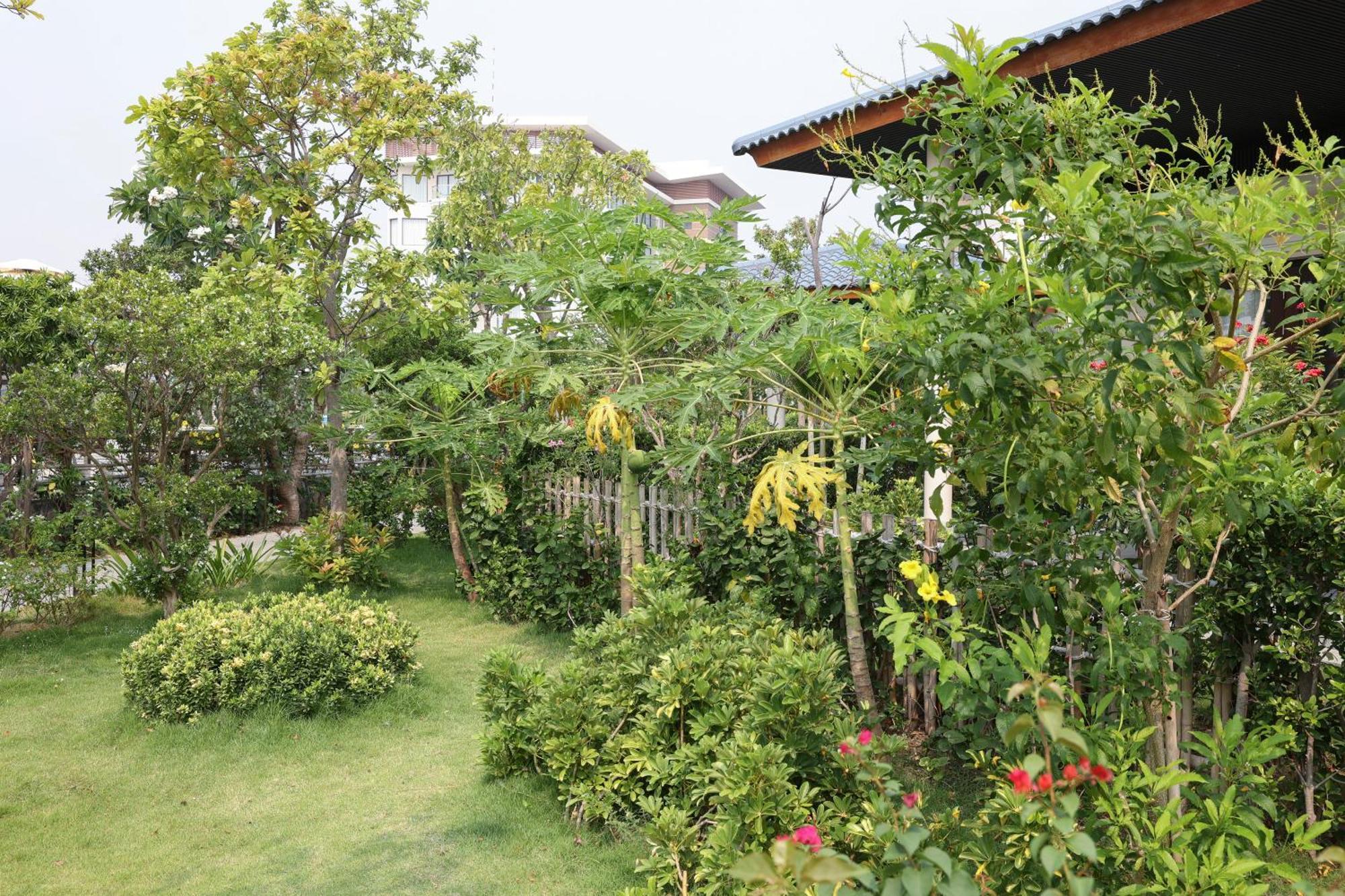 Hoan My Resort - Ninh Chu ファンラン エクステリア 写真